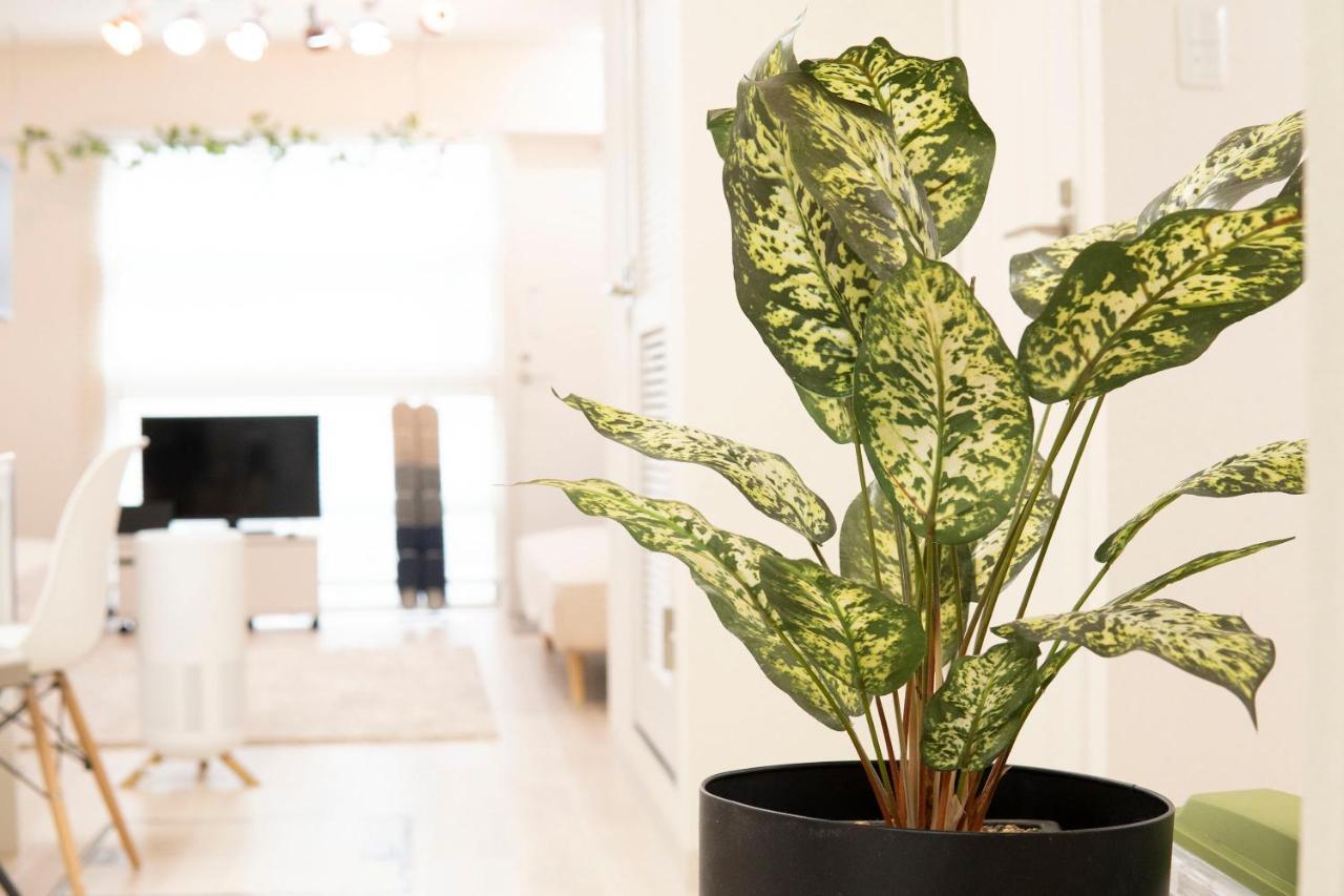 Apartament Rimo Shibuya 101 *